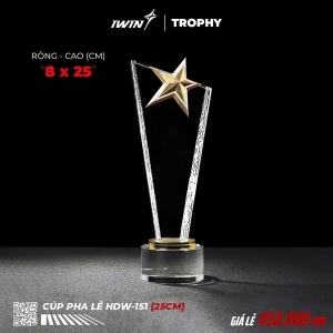 Kỷ Niệm Chương pha lê ngôi sao vàng