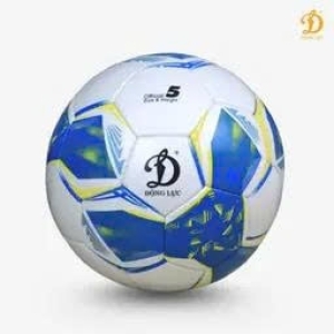 Bóng đá ĐL 3.05 Terra số 4