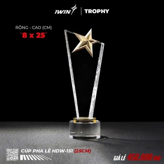 Kỷ Niệm Chương pha lê ngôi sao vàng